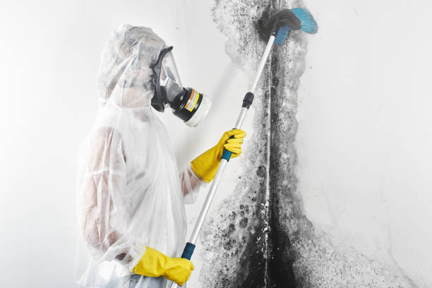 Best Air Quality Testing for Mold Spores  in Whittingham, NJ