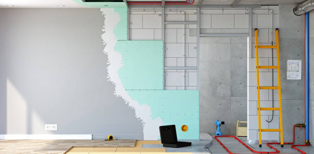 Best Basement Mold Removal  in Whittingham, NJ