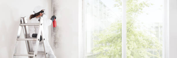  Whittingham, NJ Mold Removal Pros