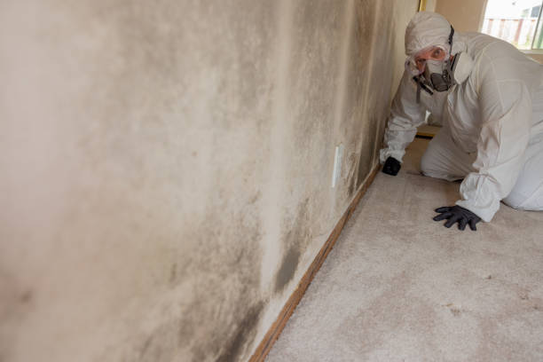Best Asbestos and Lead Testing During Mold Inspection  in Whittingham, NJ