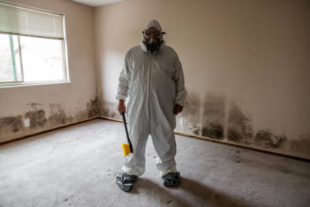 Best Emergency Mold Remediation  in Whittingham, NJ