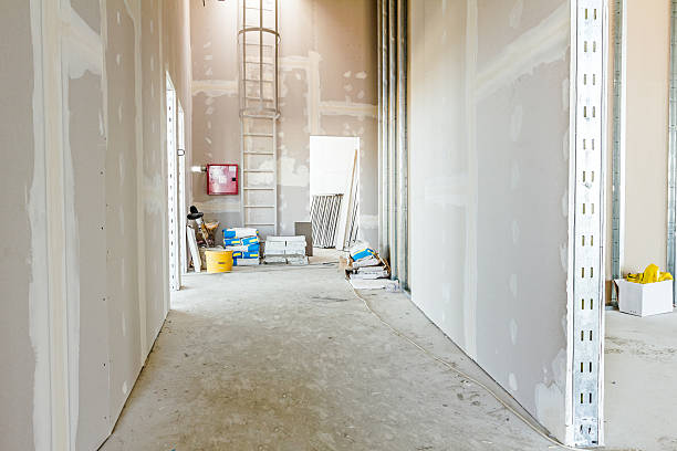 Best Mold Damage Restoration  in Whittingham, NJ