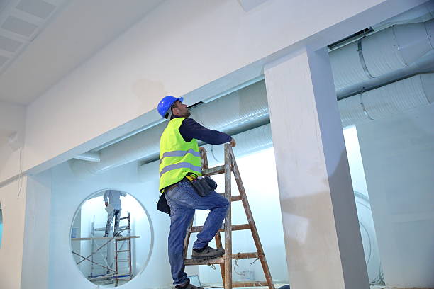 Professional Mold Removal in Whittingham, NJ
