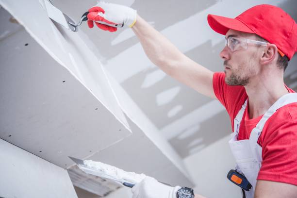 Mold Remediation for Rental Properties in Whittingham, NJ